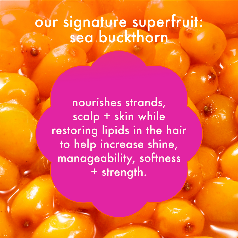 Normcore — Shampoo