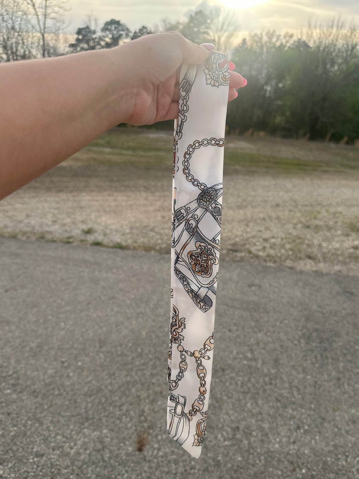 Wild Rags