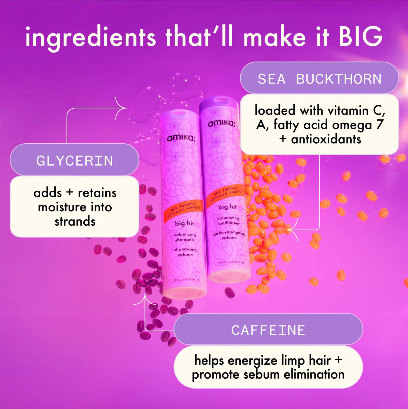 Big Hit — Volumizing Condtioner
