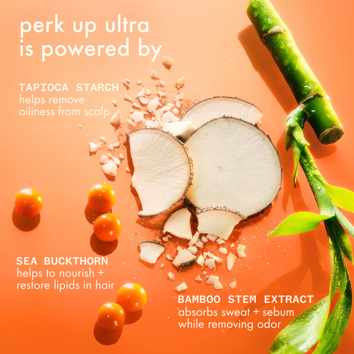 Dry Shampoo - Perk Up Ultra (Oil Control)