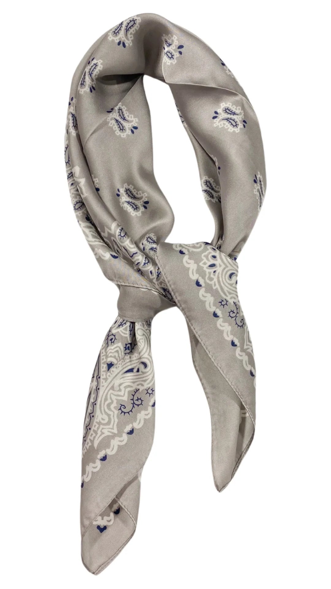 Wild Rags