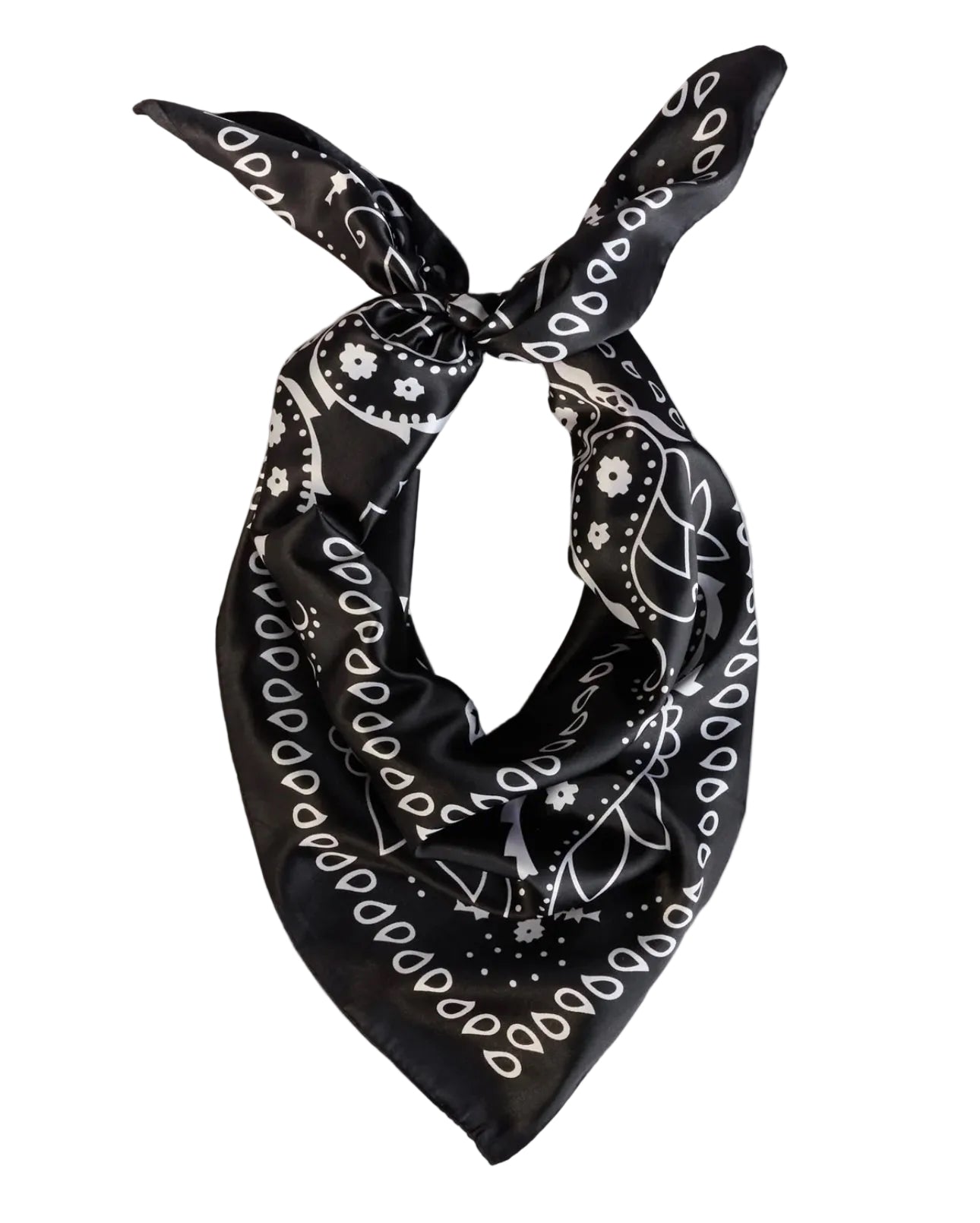 Wild Rags