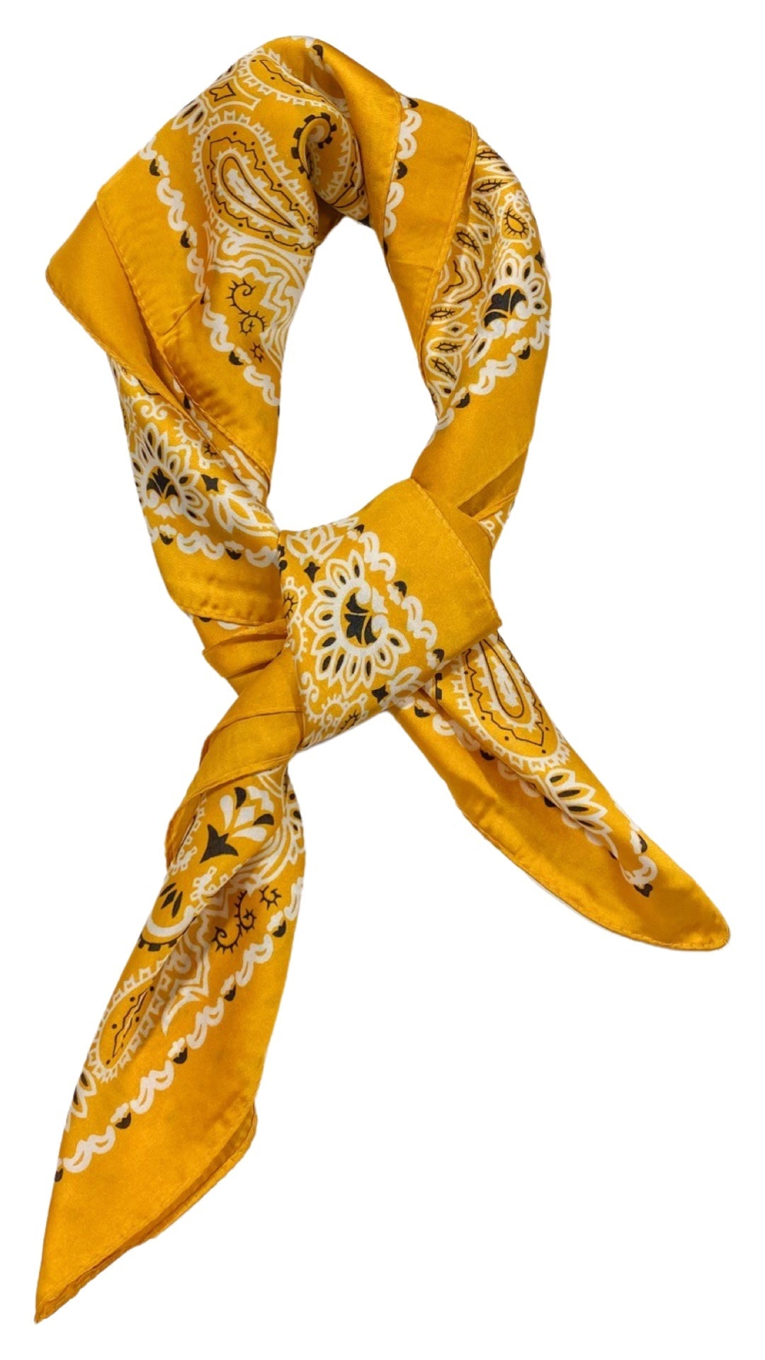 Wild Rags
