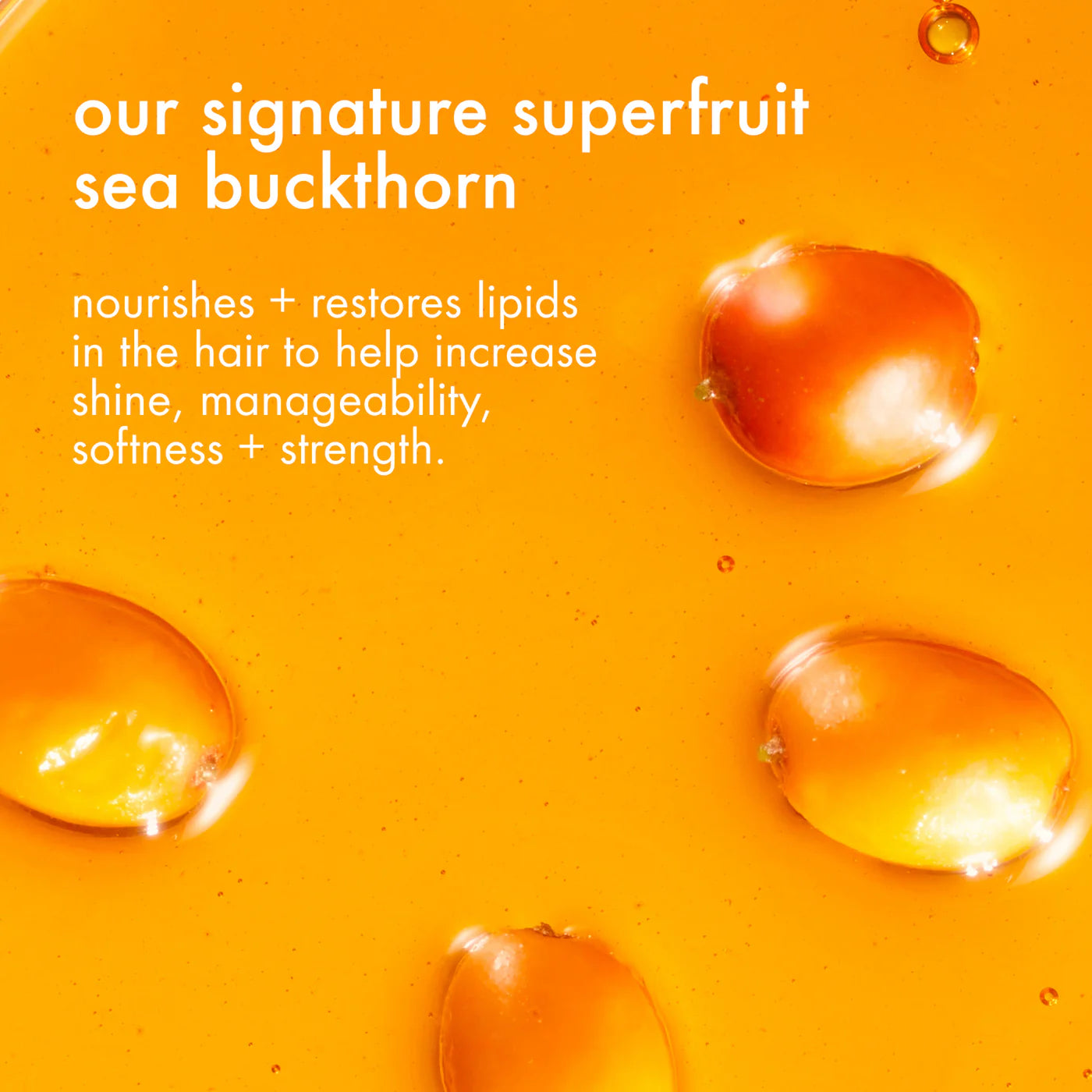 Hairspray - Headstrong