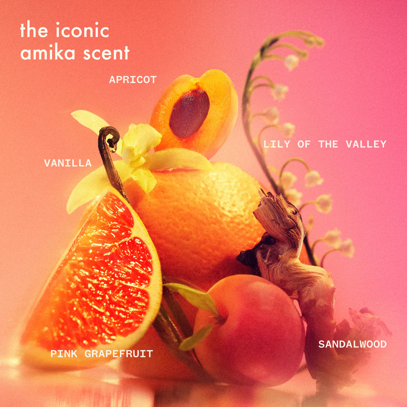 Dry Shampoo - Perk Up Plus