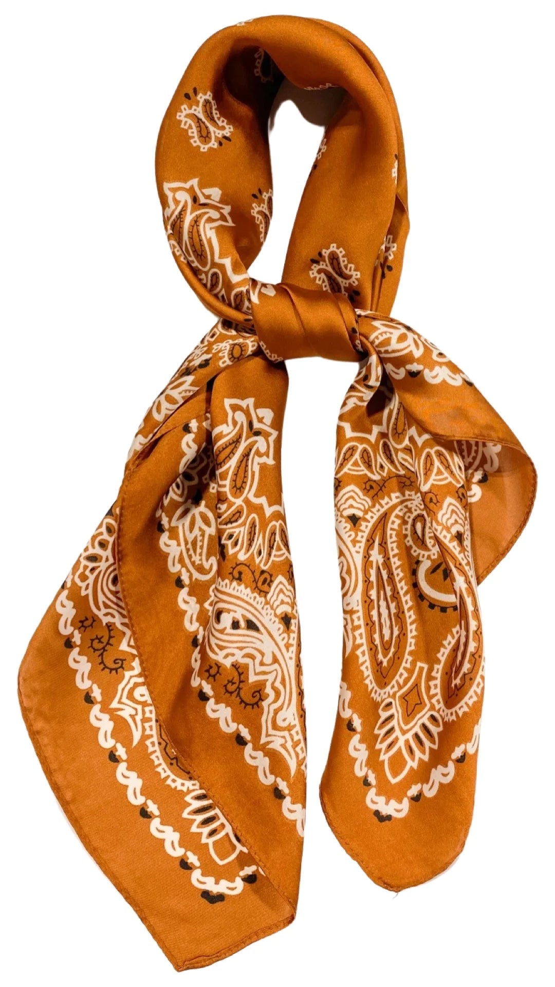 Wild Rags